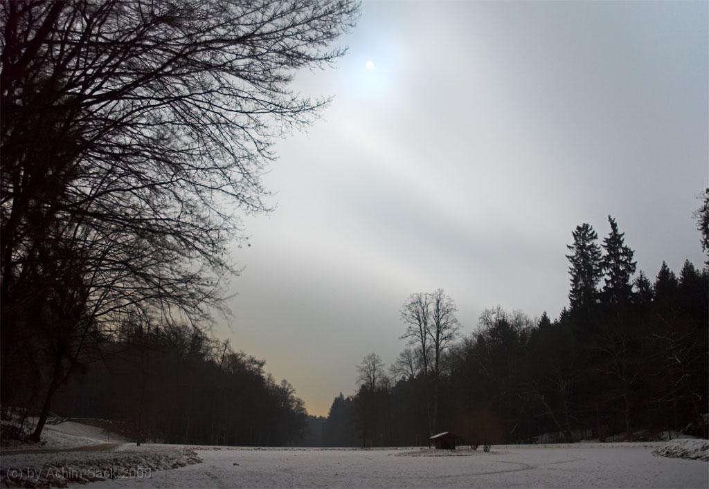dsc_7230.jpg