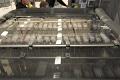 13th_PFC_DSC_5838_(c)_Achim_Sack