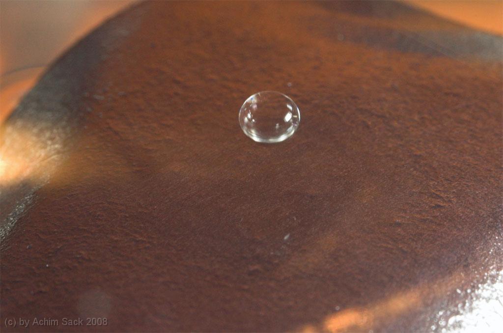 DSC_9305.jpg