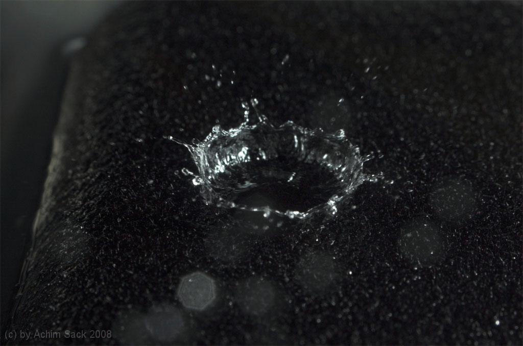 DSC_9337.jpg