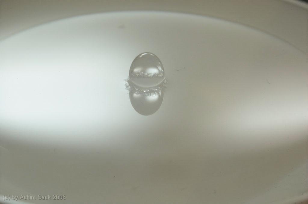 DSC_9620.jpg