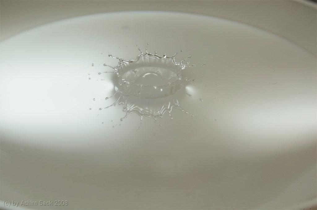 DSC_9623.jpg
