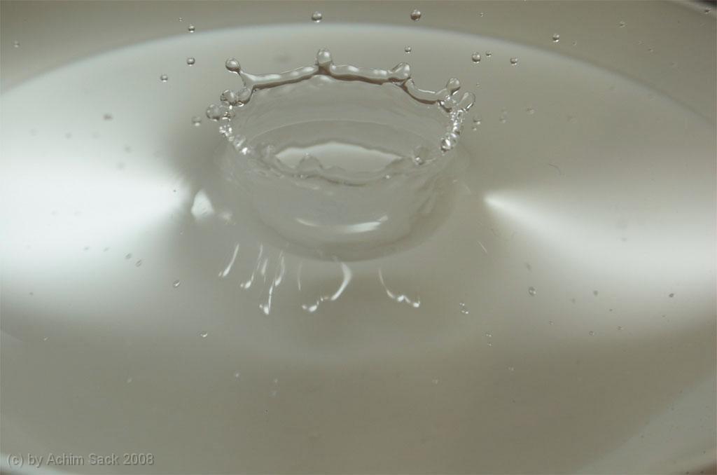 DSC_9636.jpg