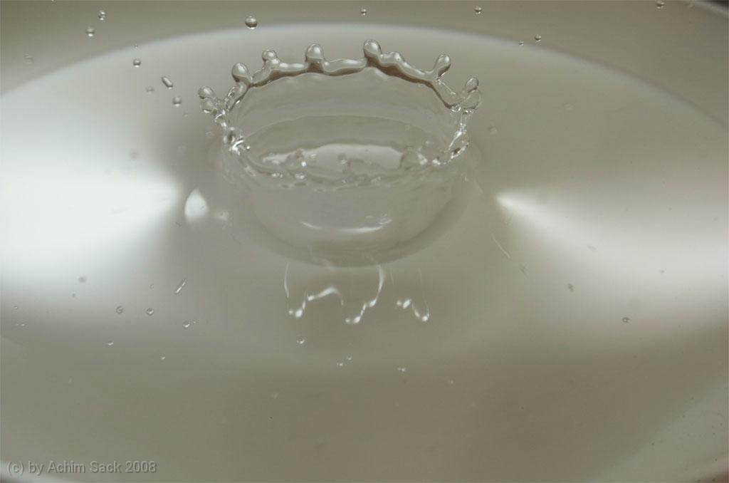 DSC_9638.jpg