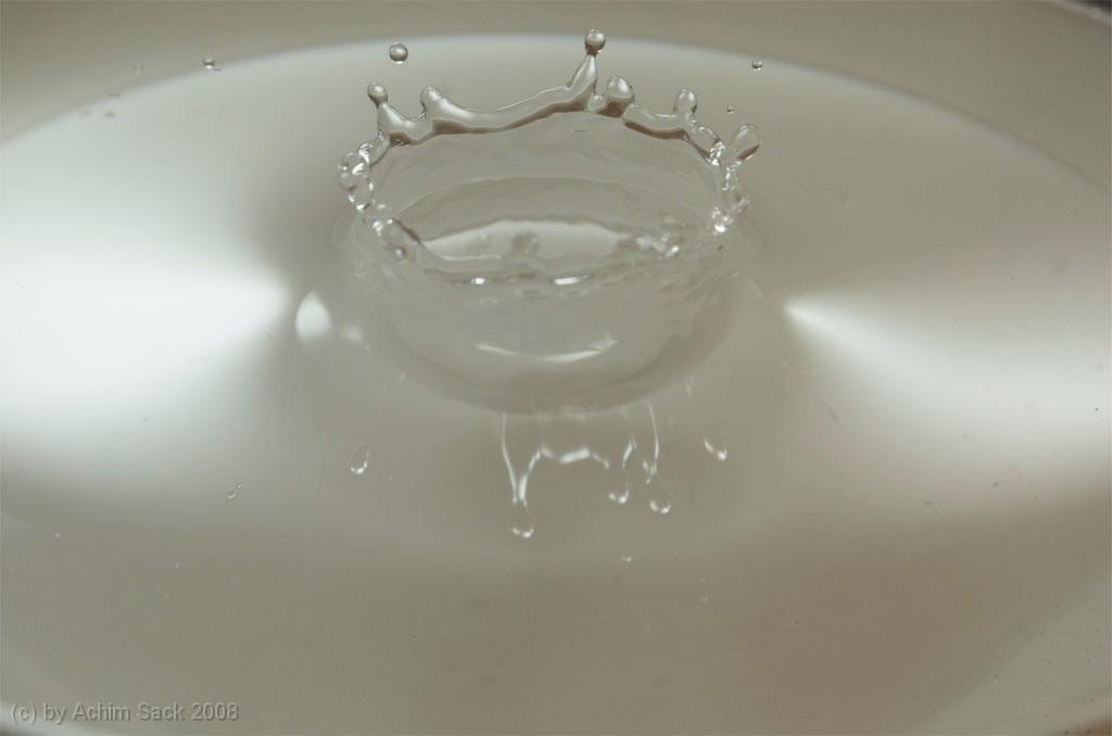 DSC_9639.jpg