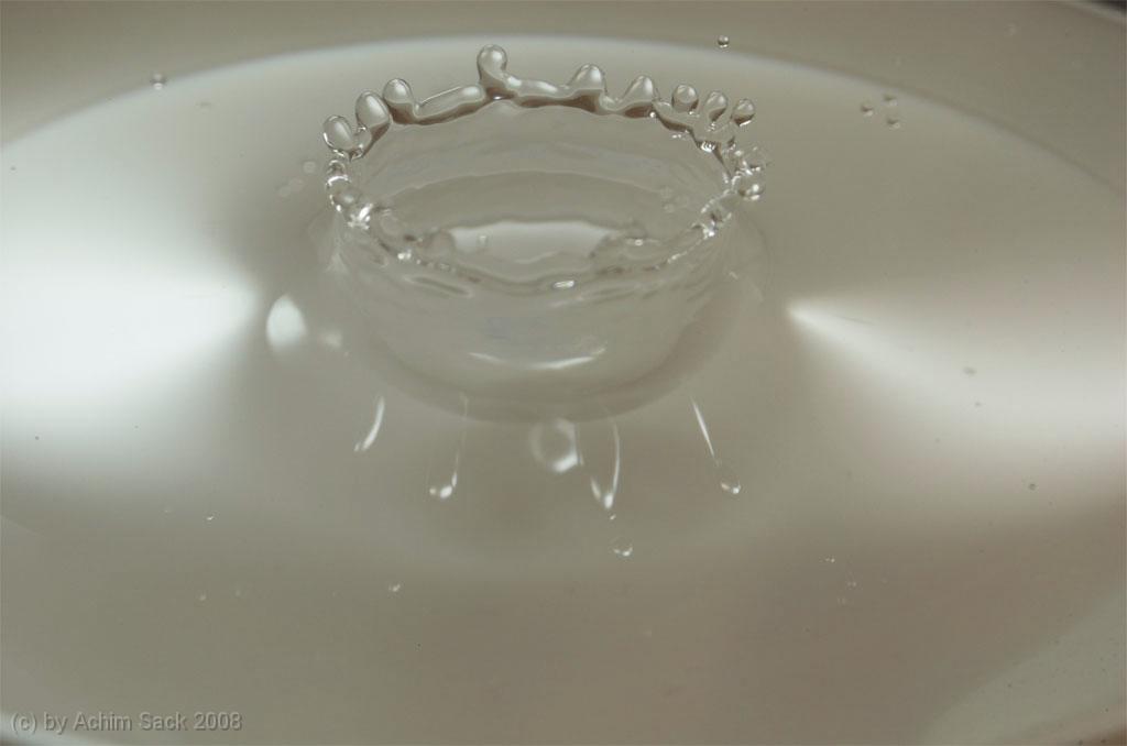 DSC_9641.jpg